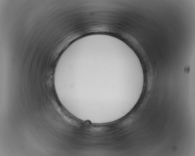 X0000113011225200910081215