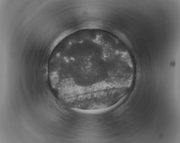 X0000113011226200910081215