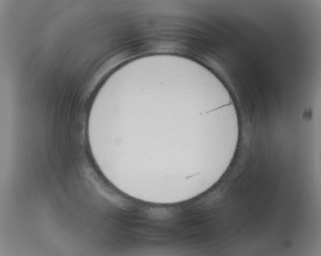 X0000113011227200910081215