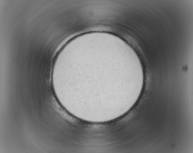 X0000113011228200910081215