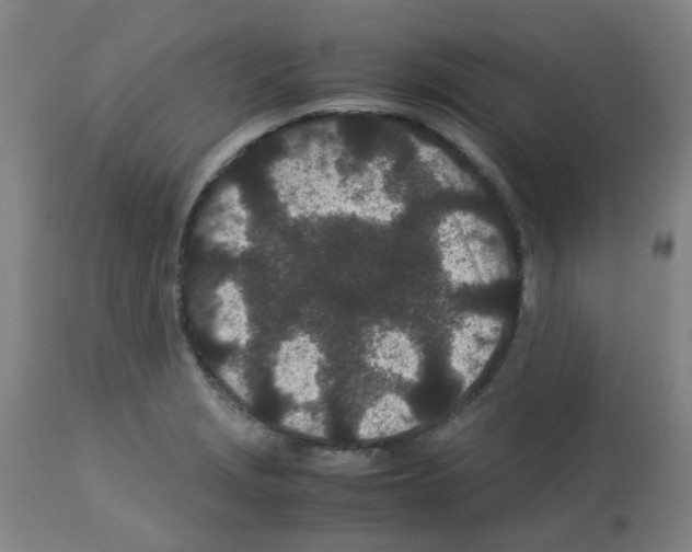 X0000113011229200910081215