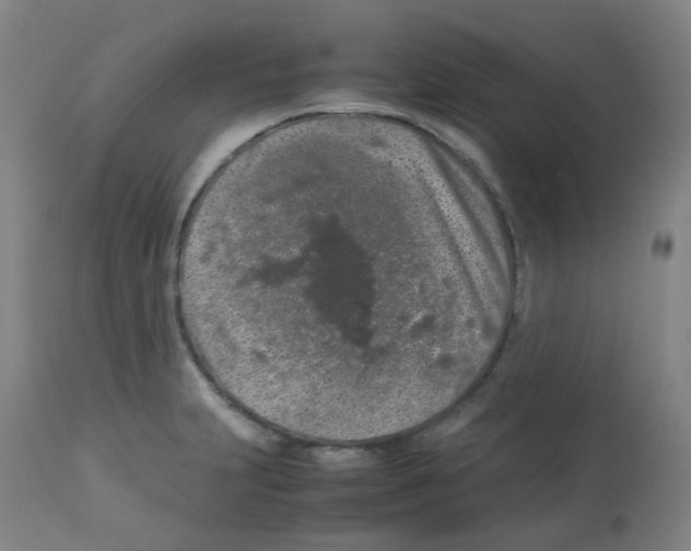 X0000113011231200910081215