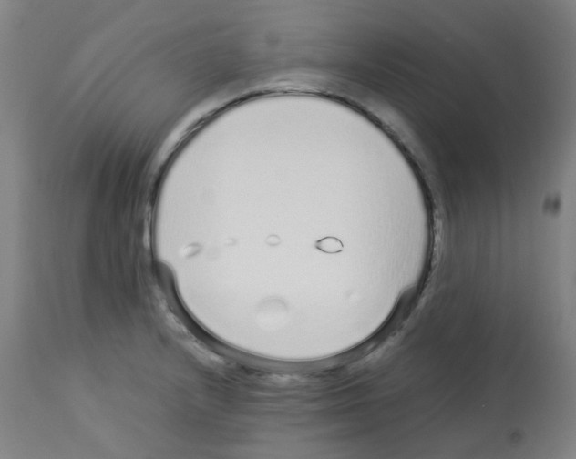 X0000113011232200910081215