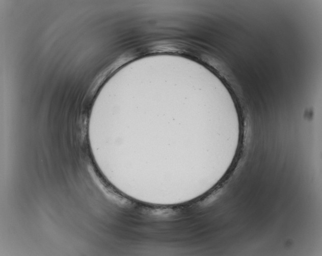 X0000113011233200910081215