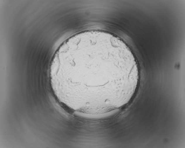 X0000113011234200910081215