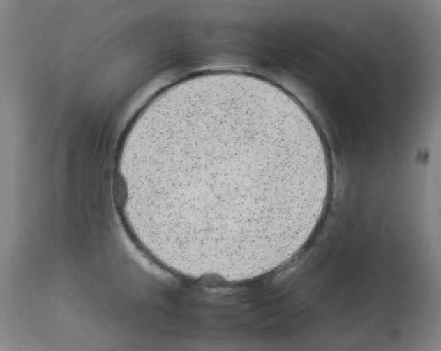 X0000113011237200910081215