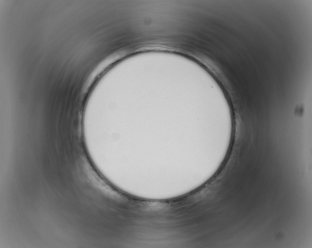 X0000113011238200910081215