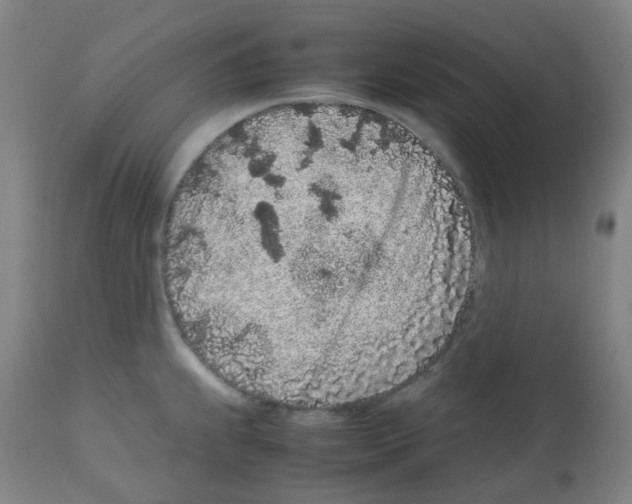 X0000113011239200910081215