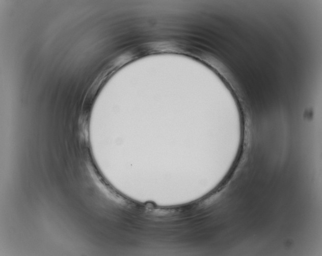 X0000113011241200910081215