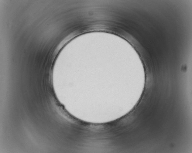 X0000113011242200910081215