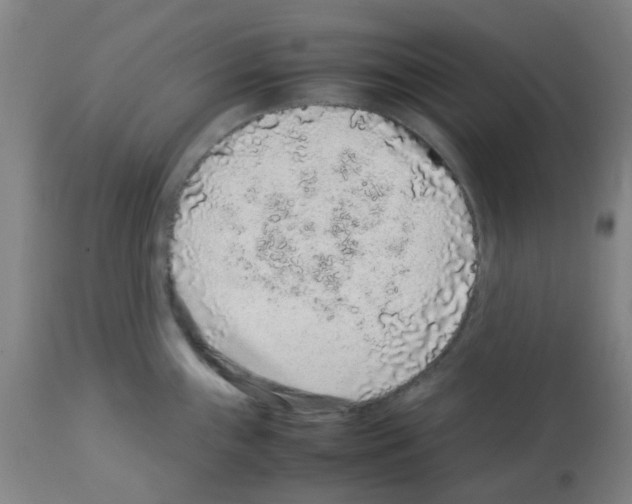 X0000113011243200910081215