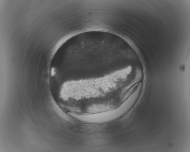 X0000113011246200910081215