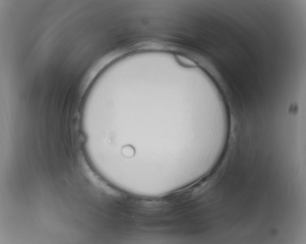 X0000113011247200910081215