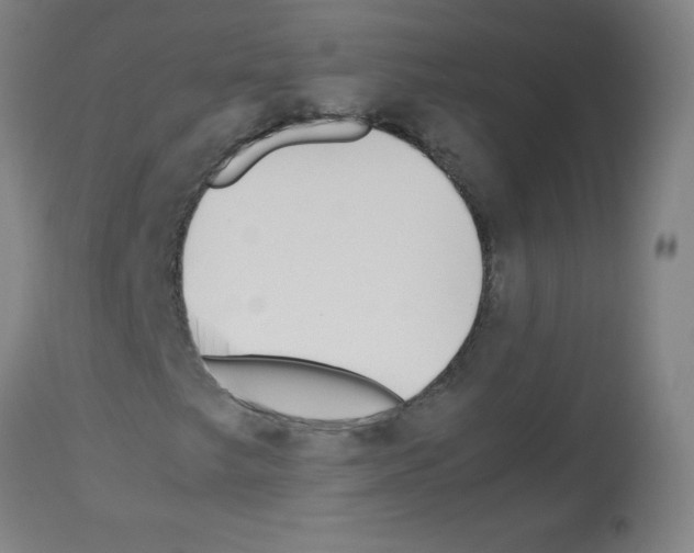 X0000113011249200910081215
