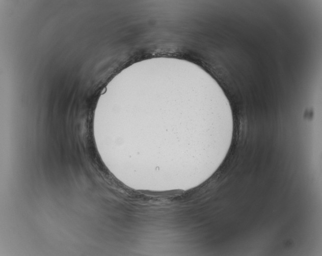 X0000113011250200910081215