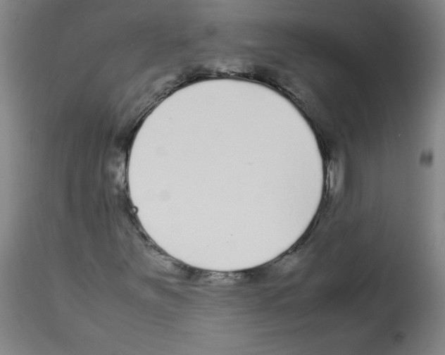 X0000113011251200910081215