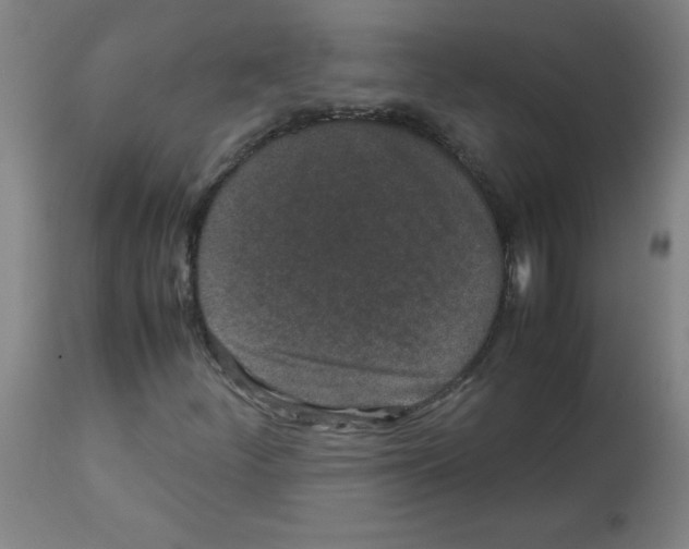 X0000113011252200910081215
