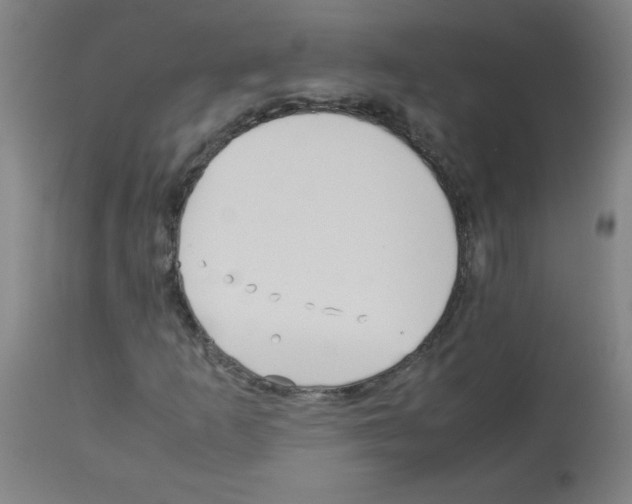 X0000113011253200910081215