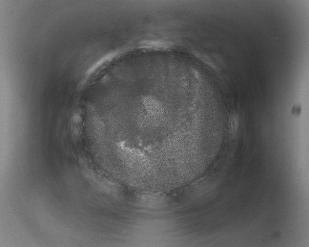 X0000113011254200910081215