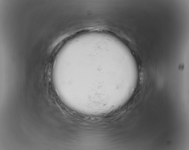 X0000113011255200910081214