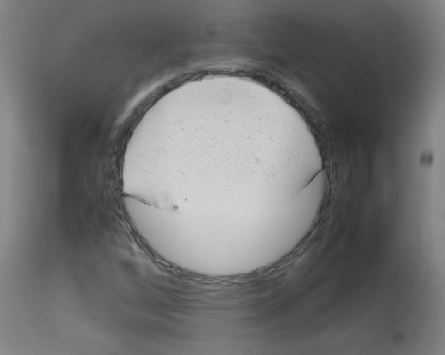 X0000113011256200910081214