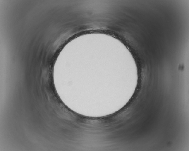 X0000113011257200910081214