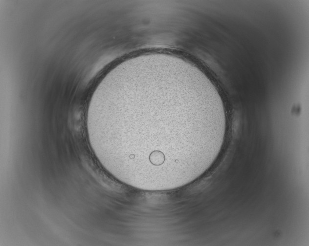 X0000113011258200910081214