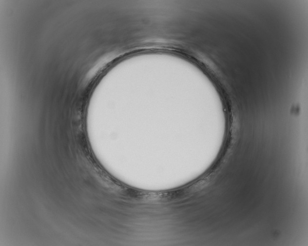 X0000113011259200910081214
