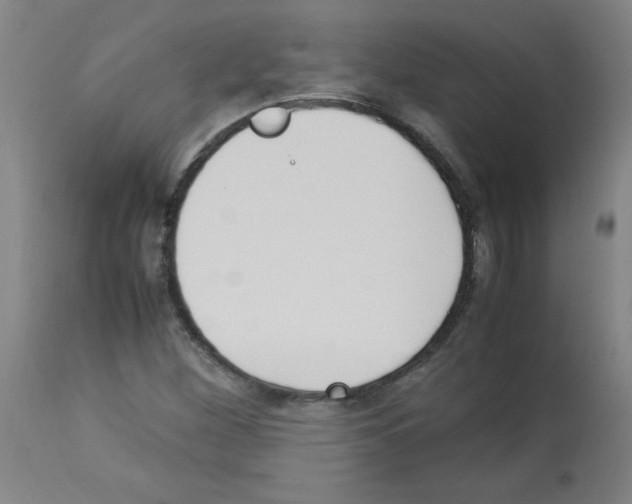 X0000113011260200910081214