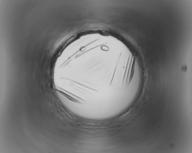 X0000113011261200910081214
