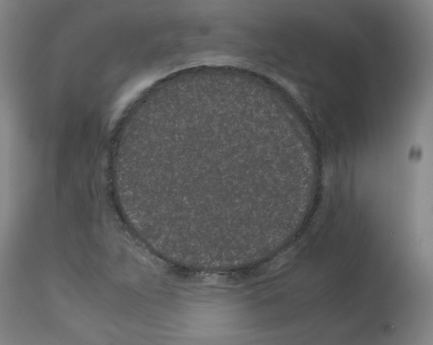 X0000113011263200910081214