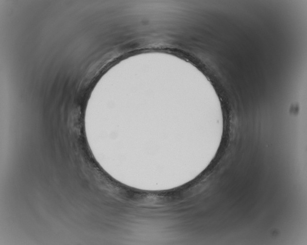 X0000113011265200910081214