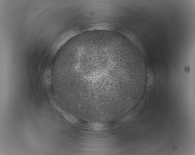 X0000113011266200910081214