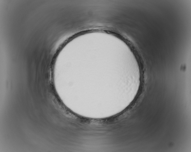 X0000113011267200910081214