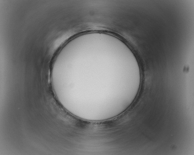 X0000113011269200910081214