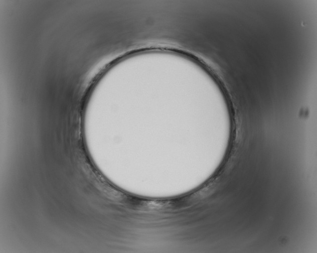 X0000113011271200910081214