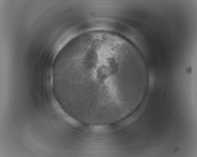 X0000113011274200910081214