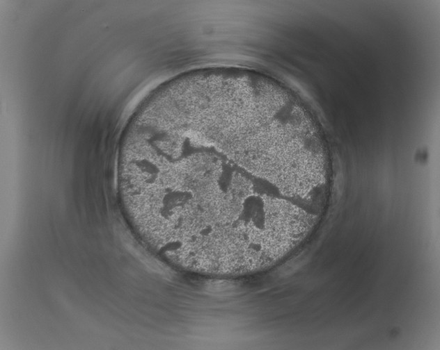 X0000113011275200910081214
