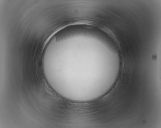 X0000113011276200910081214