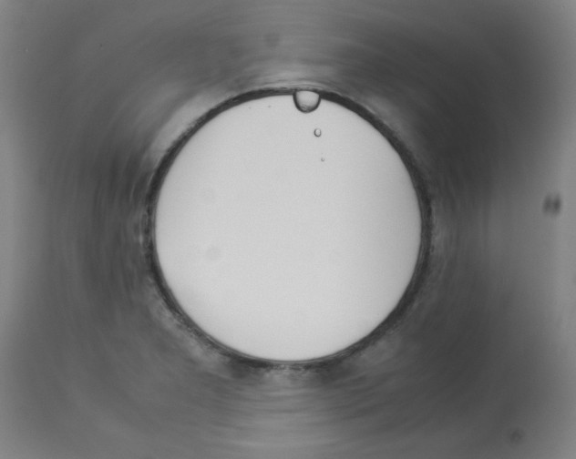 X0000113011277200910081214