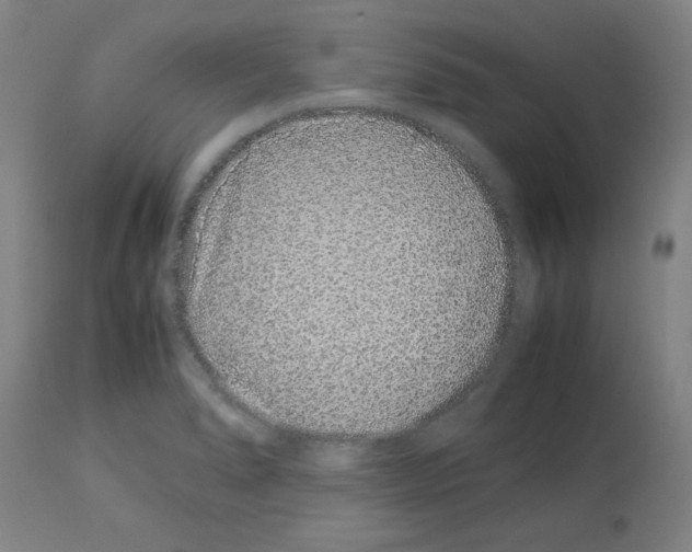 X0000113011278200910081214
