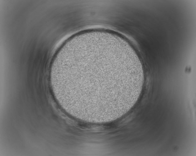 X0000113011279200910081214