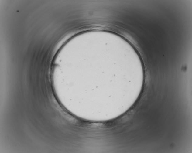 X0000113011283200910081214