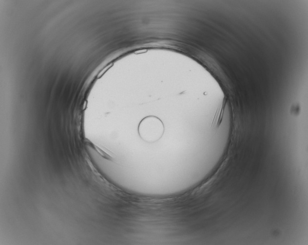X0000113011284200910081214