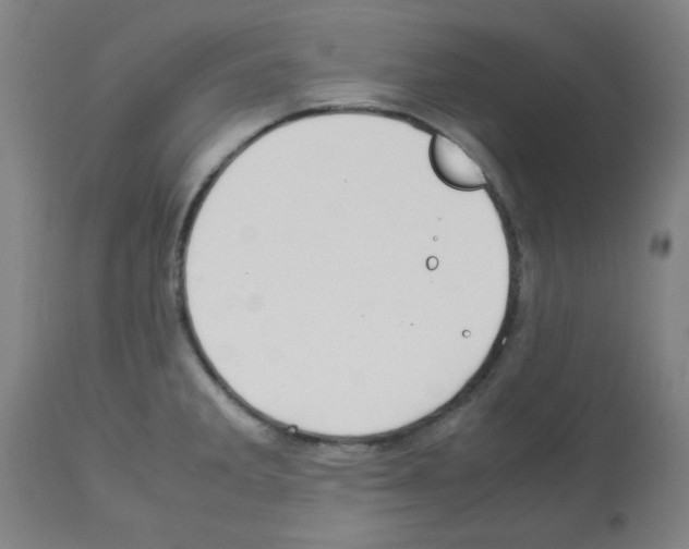 X0000113011285200910081214
