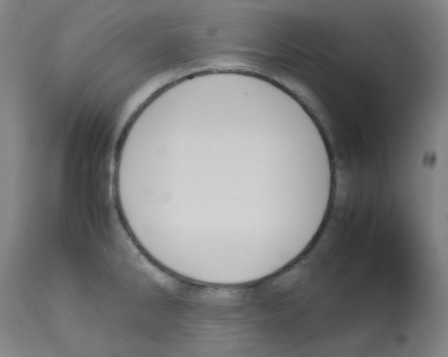 X0000113011286200910081214