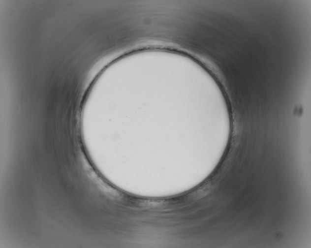 X0000113011287200910081214