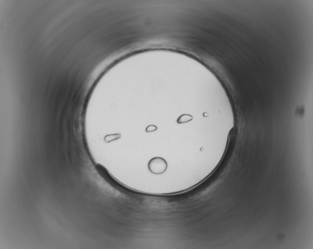X0000113011288200910081214
