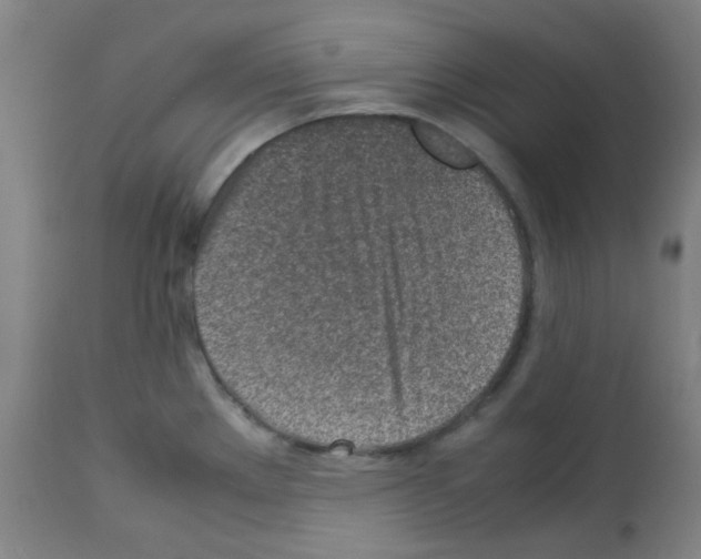 X0000113011289200910081214