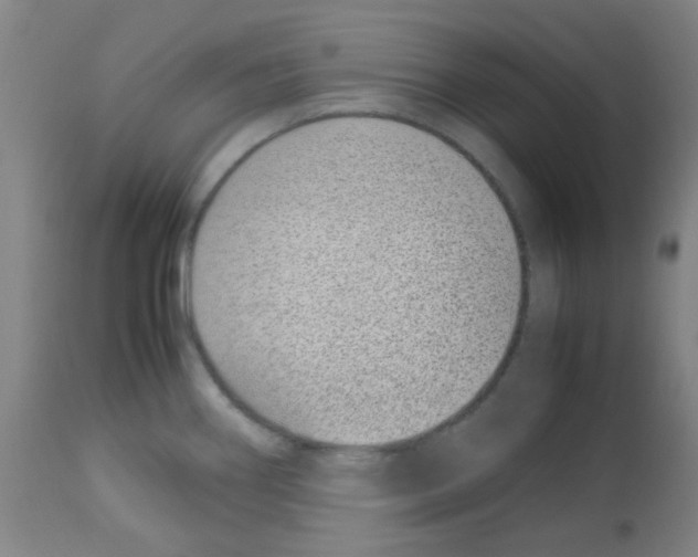 X0000113011290200910081214